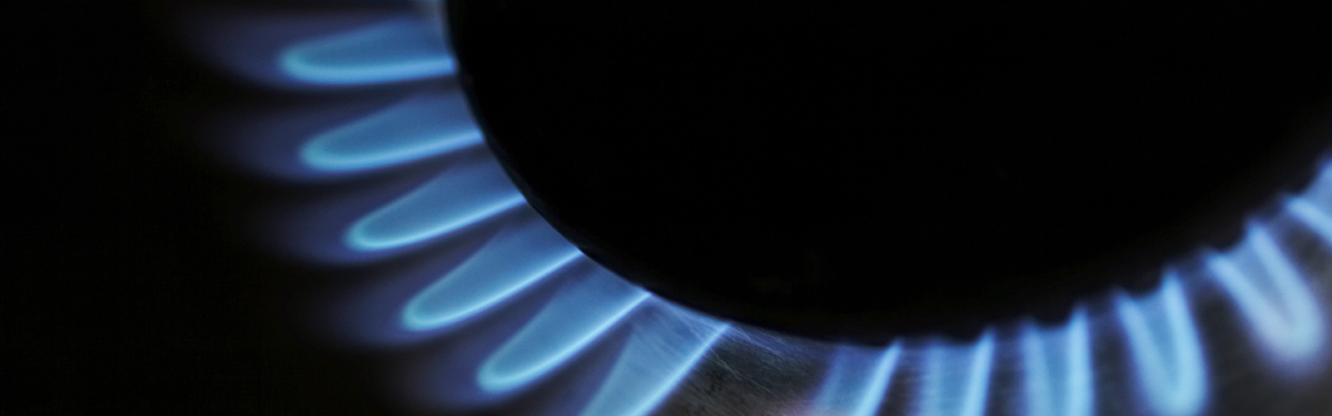 Gas Hob Burner