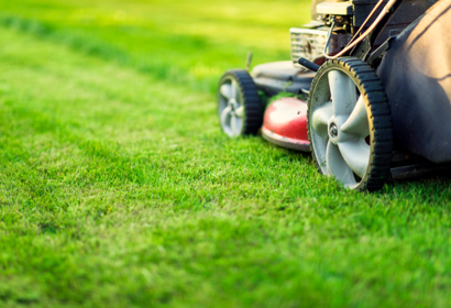 Adobestock 256962110Grass Cutting