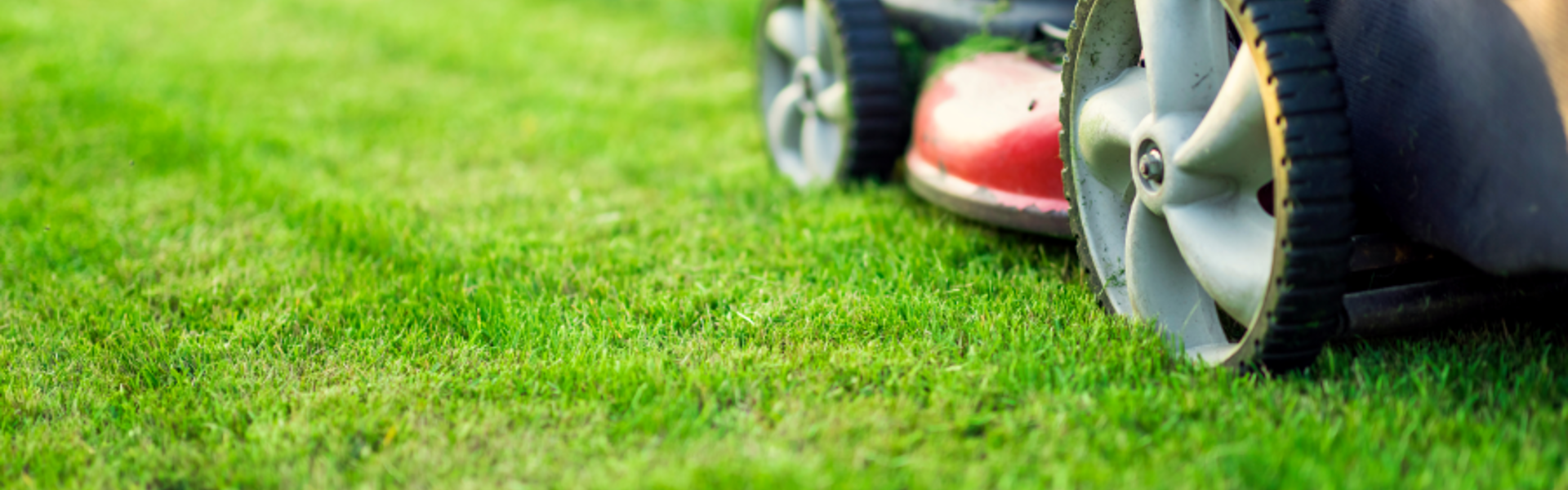 Adobestock 256962110Grass Cutting