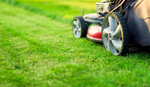 Adobestock 256962110Grass Cutting