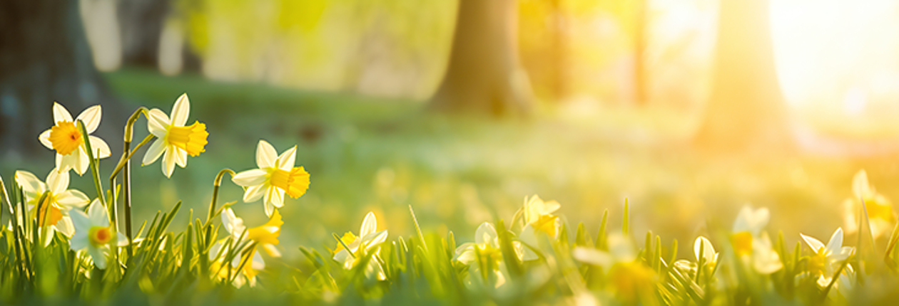 Banner 3