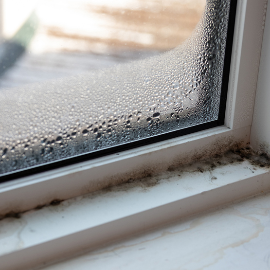 Mould