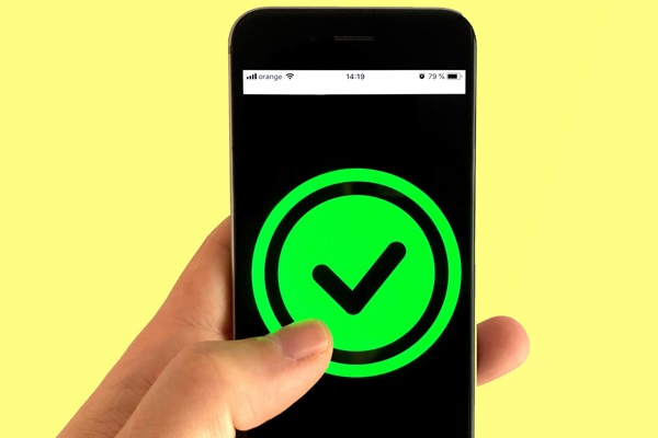 Franck Snvbtrqr7ee Unsplash