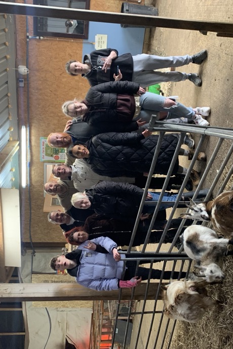 Alpaca 8
