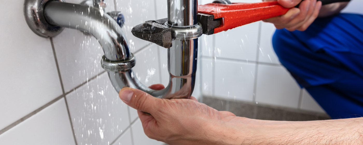 Adobestock 216282910