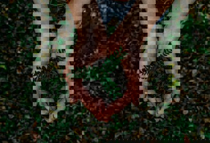 Noah Buscher X8zstuks2pm Unsplash