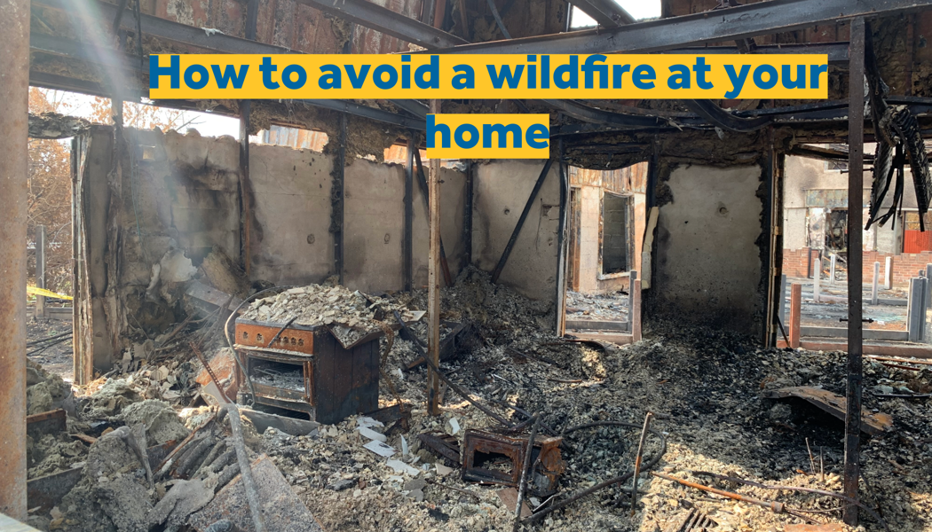 Shine Video Placeholder (2)