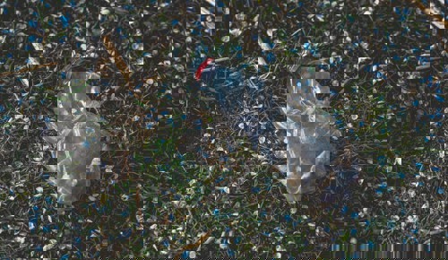 Markus Spiske Teyrhlv0jba Unsplash