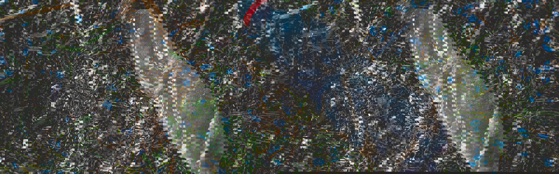Markus Spiske Teyrhlv0jba Unsplash