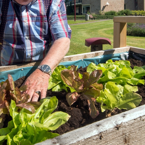 Gardening Banner