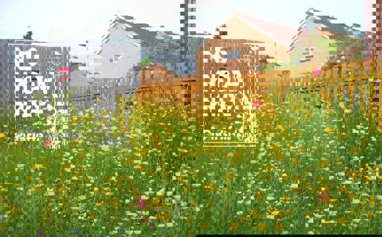 Nomowmay2024mainimage 2