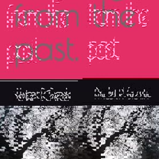 Norbert Book Cover