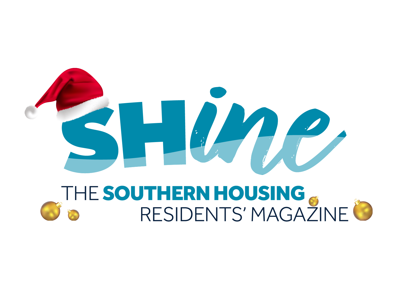 Digital Shine Logo