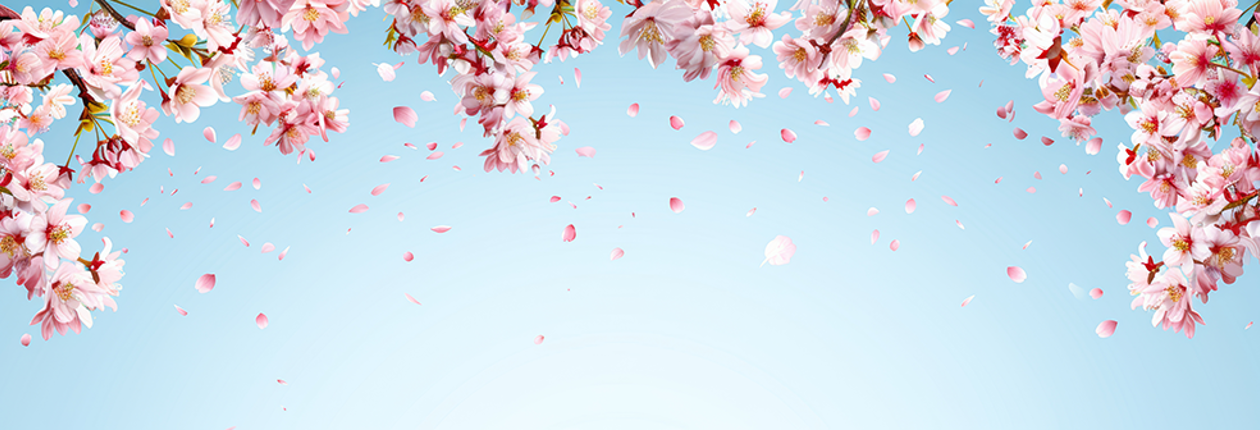 Banner 2