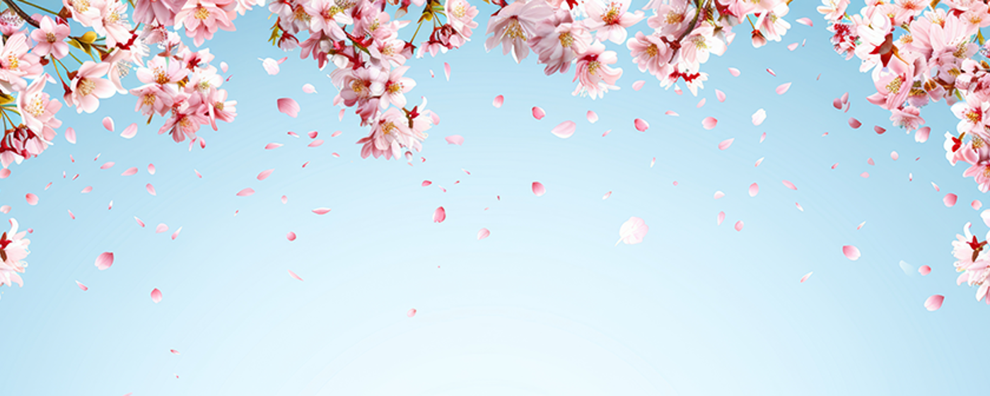 Banner 2