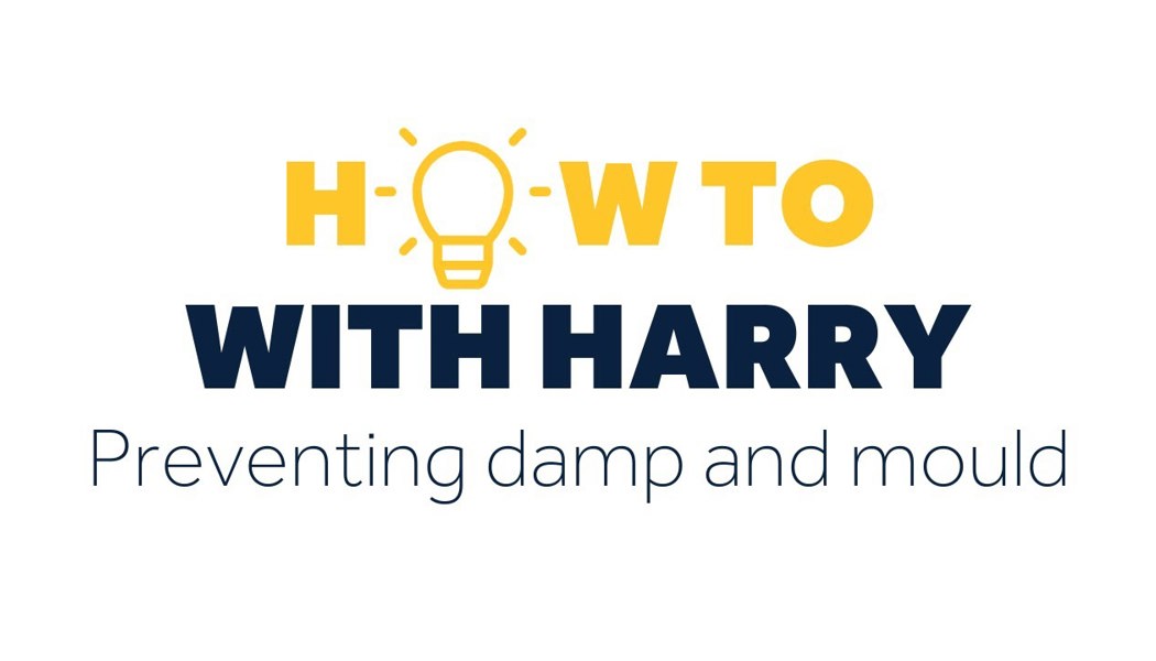 How To With Harry