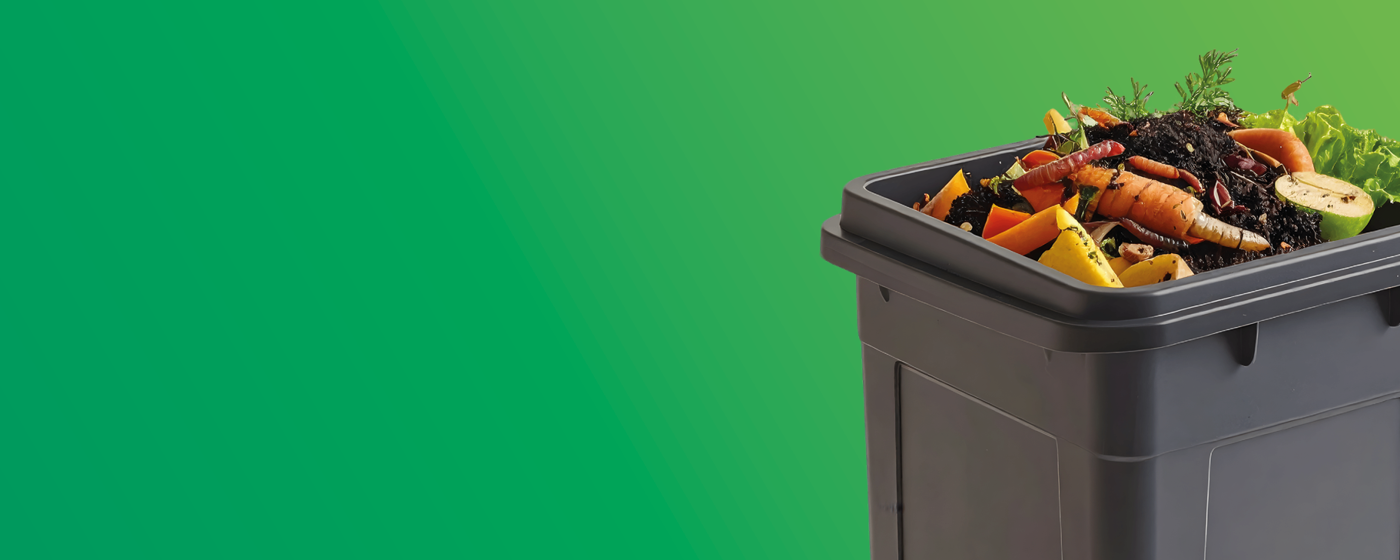 Shine Digital Artwork Issue 882