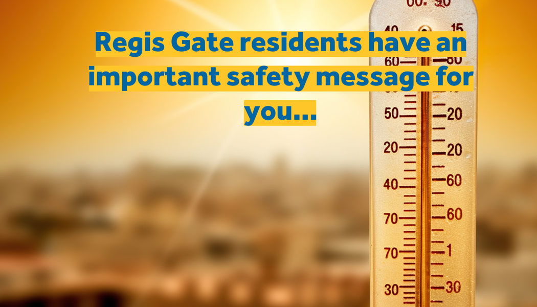 Shine Video Placeholder (3)