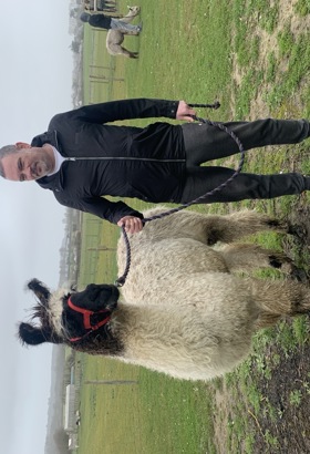 Alpaca 3