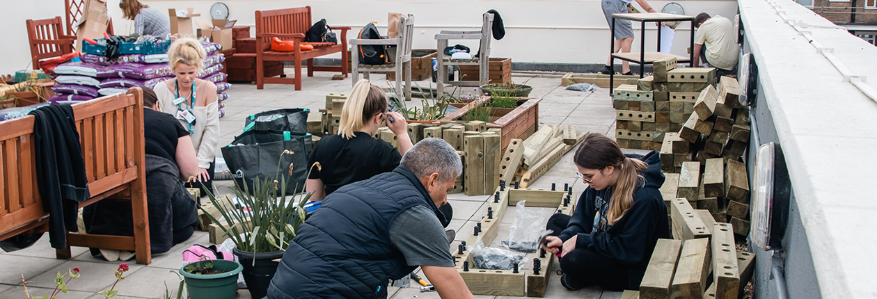 Garden Renovation Hastings 16
