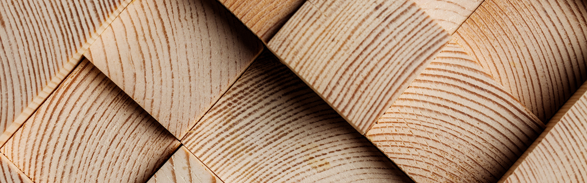 Adobestock 299544520