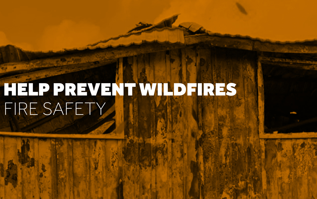 Wildfire Video Thumbnail