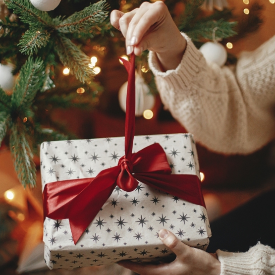 Xmas Stock