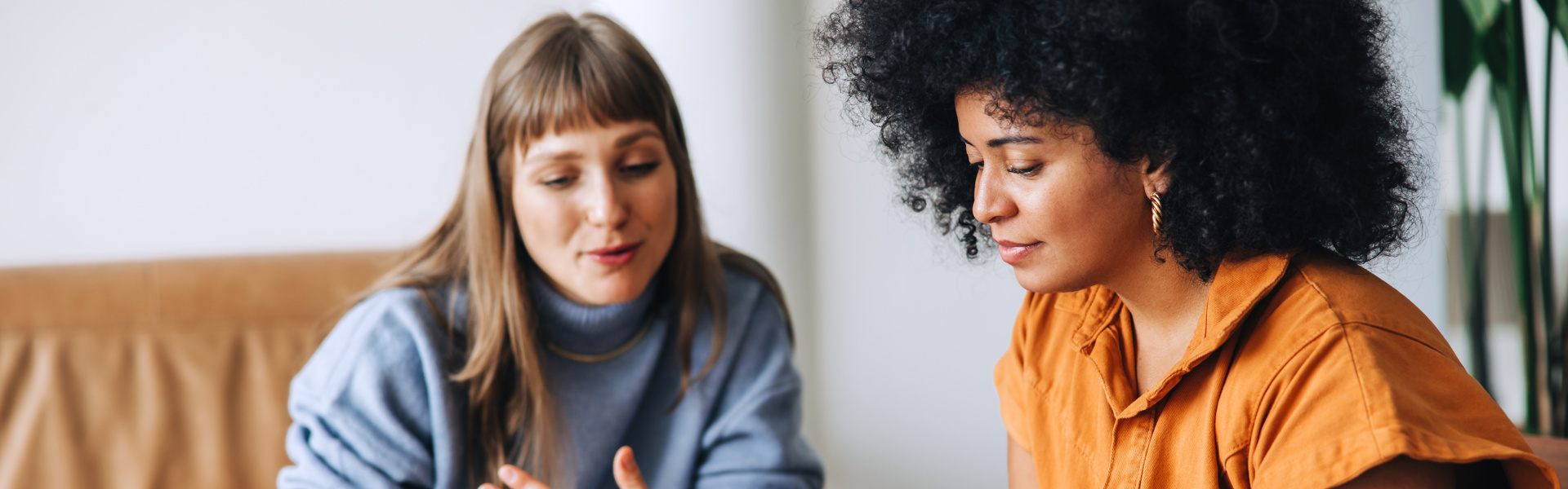 2 Women On Laptop At Home