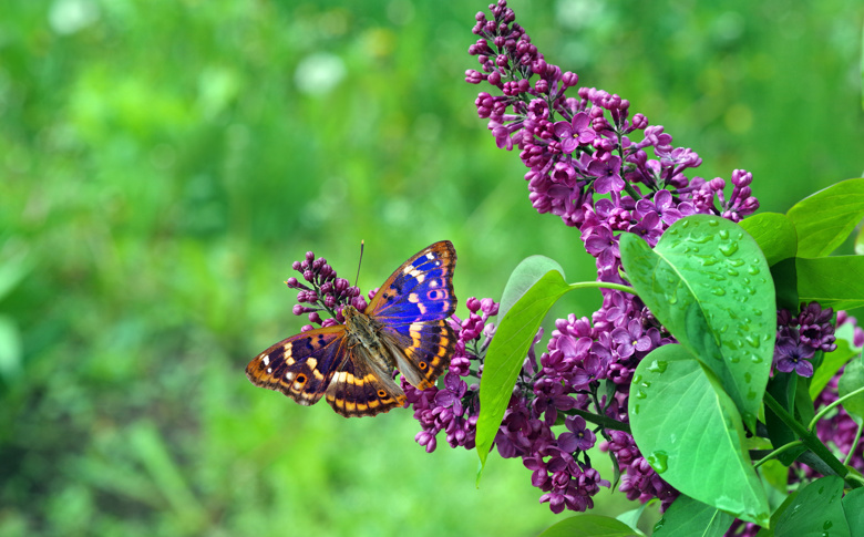 Adobestock 517442938