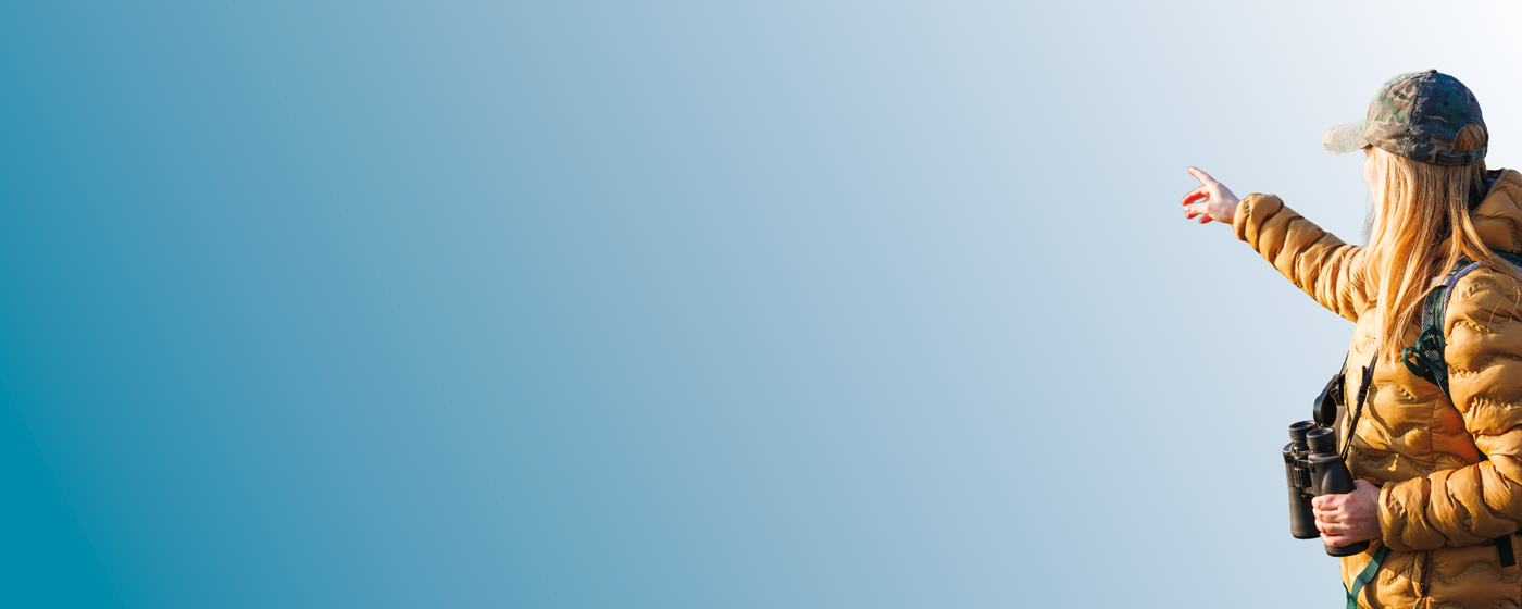 11 Bird Watching Banner