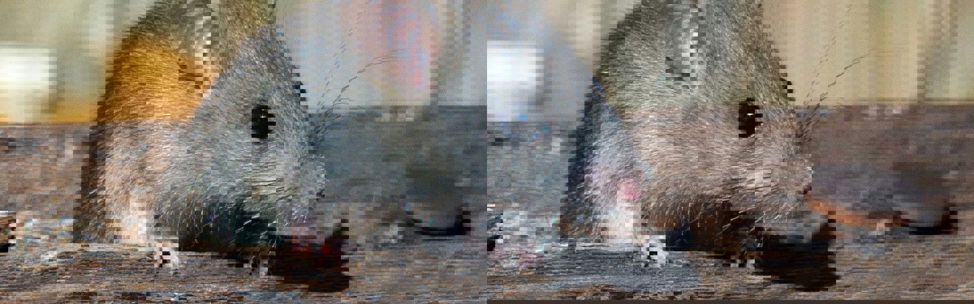 Joshua J Cotten Qxw15bmjxoq Unsplash