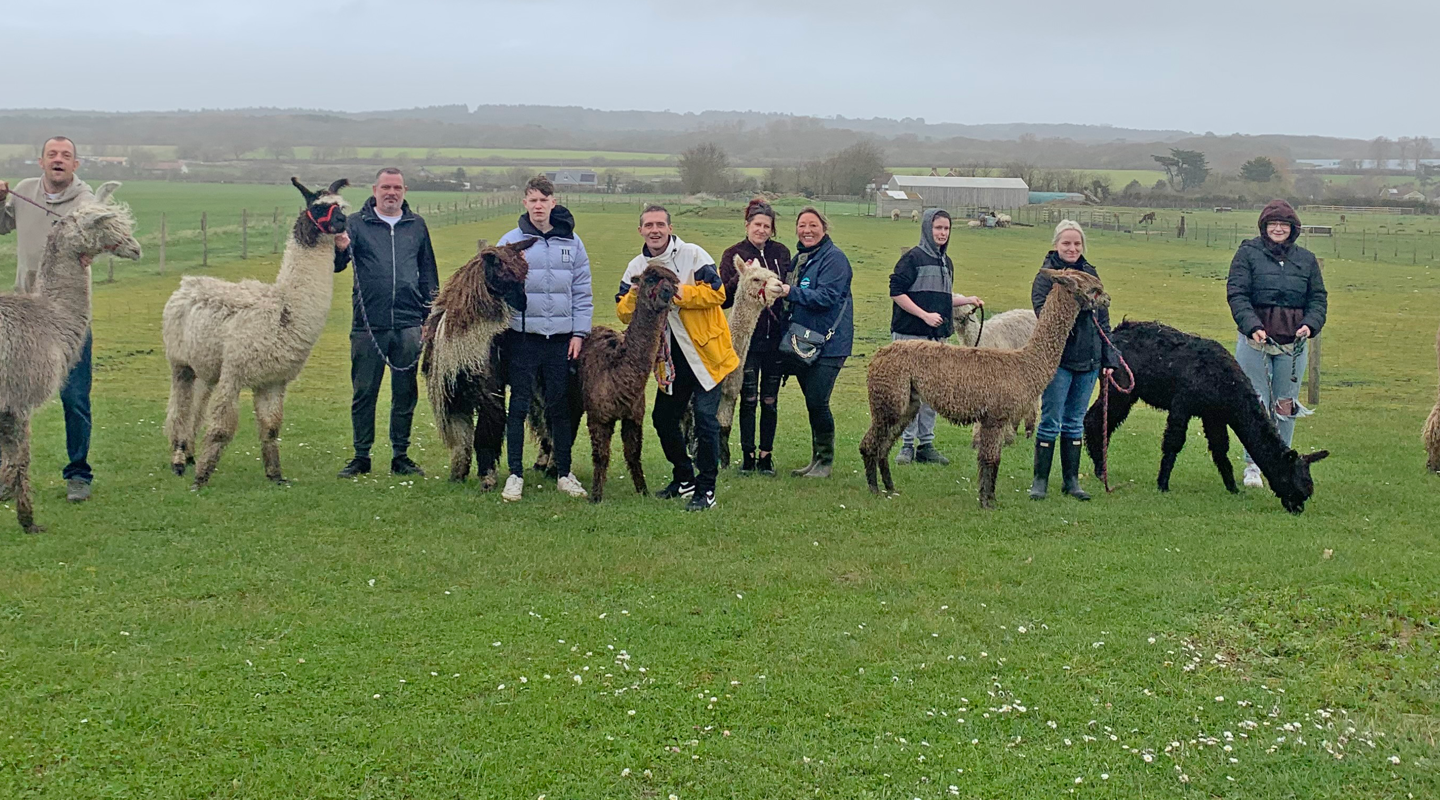 Alpaca Header Edited