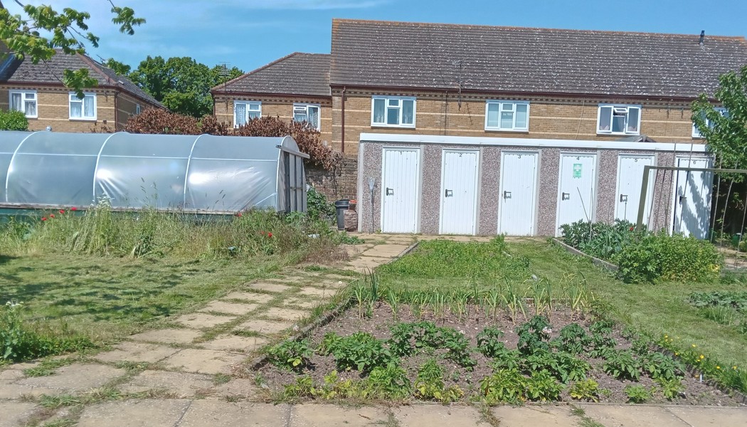 Photo 2 Sheds & Polytunnel Sustainable